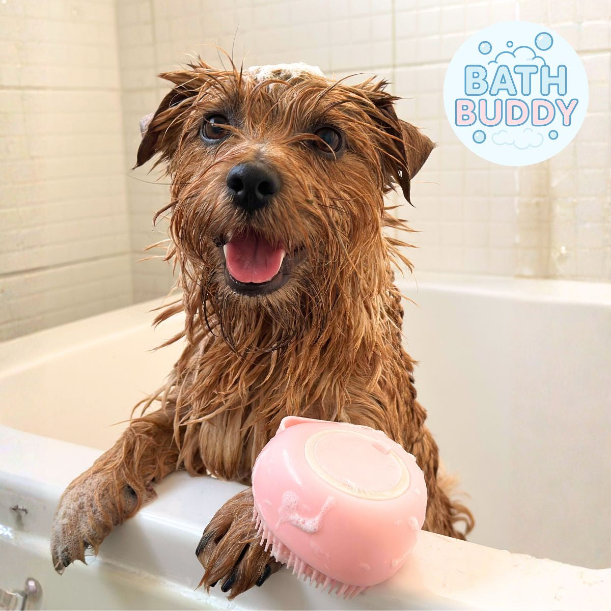 Bath Buddy - All-in-One Soap Dispensing Pet Brush