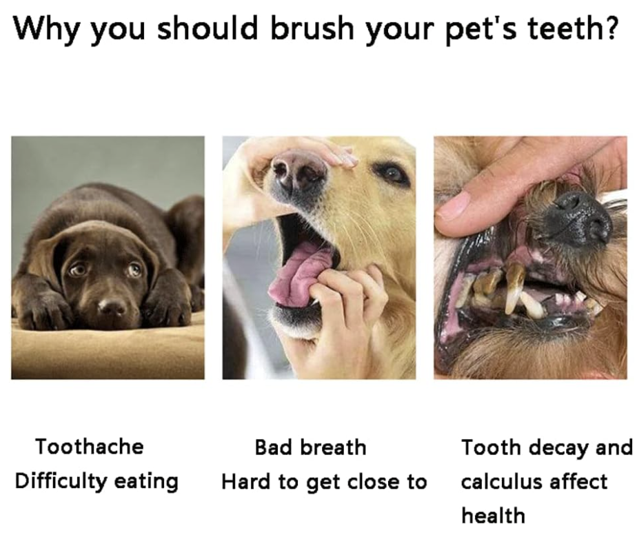 Three images showing a dog with a sad expression, being petted, and having its mouth open to reveal teeth. Text explains why brushing a dog's teeth is important.