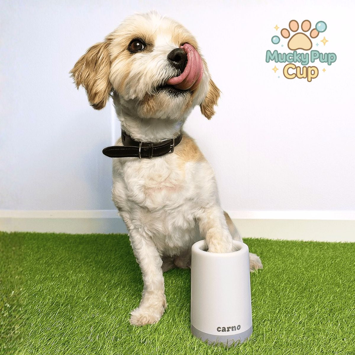 MuckyPup Cup – Mess-Free Dog Paw Cleaner