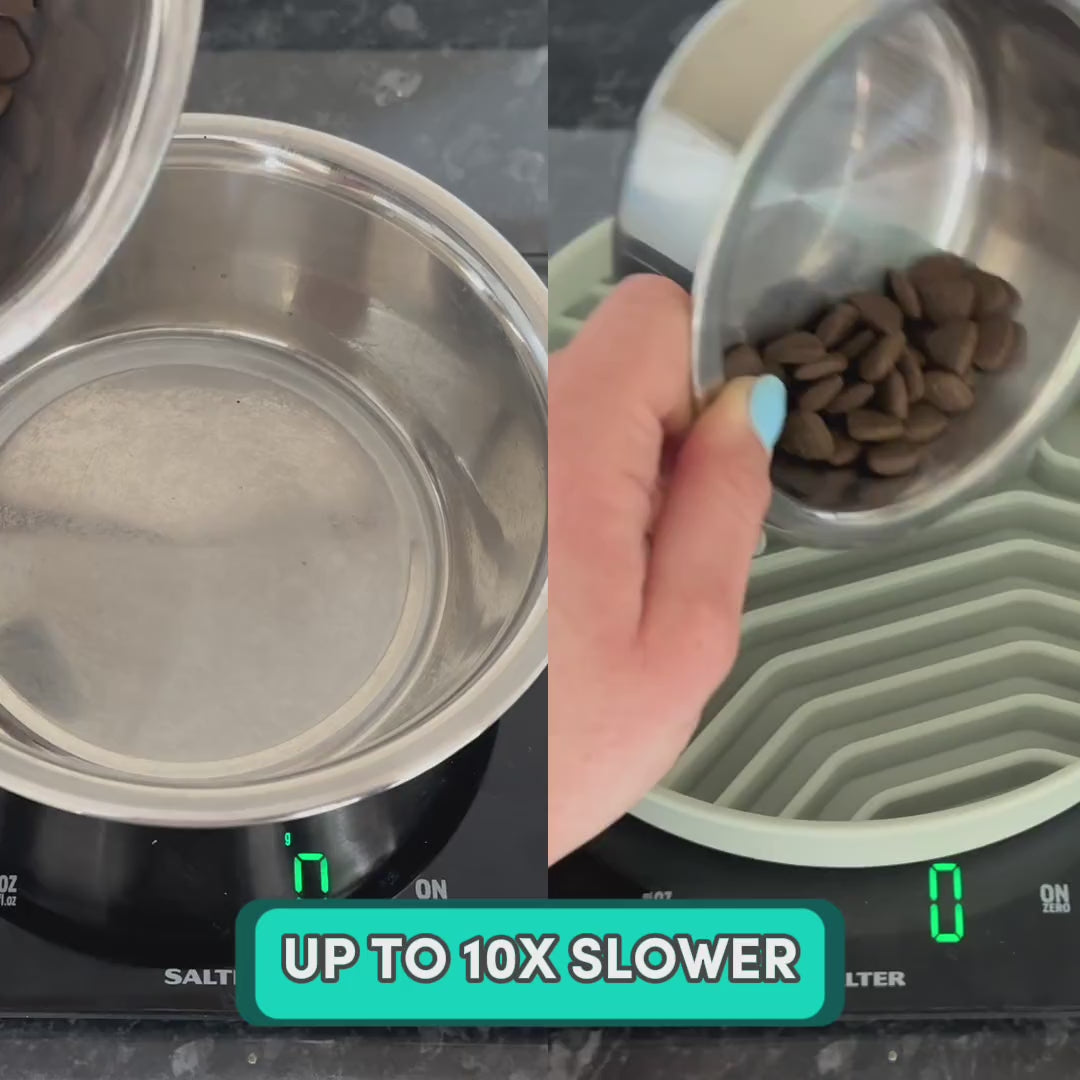 Better Bowl slow feeder in use, helping a dog eat slowly and prevent bloating during mealtime.