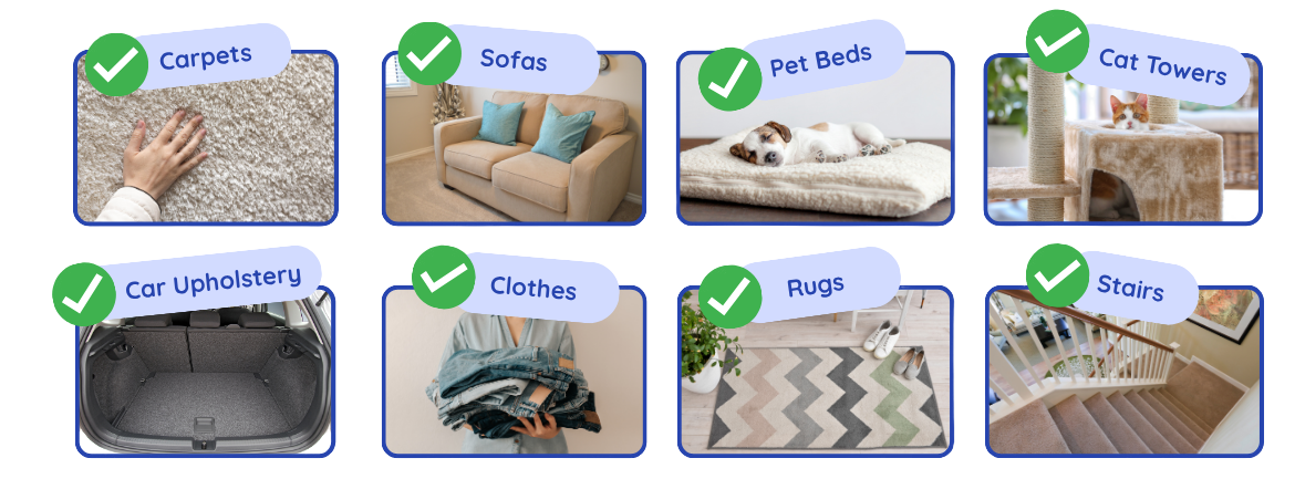 Various cleaning product uses including carpets, sofas, pet beds, car upholstery, clothes, rugs, and stairs.